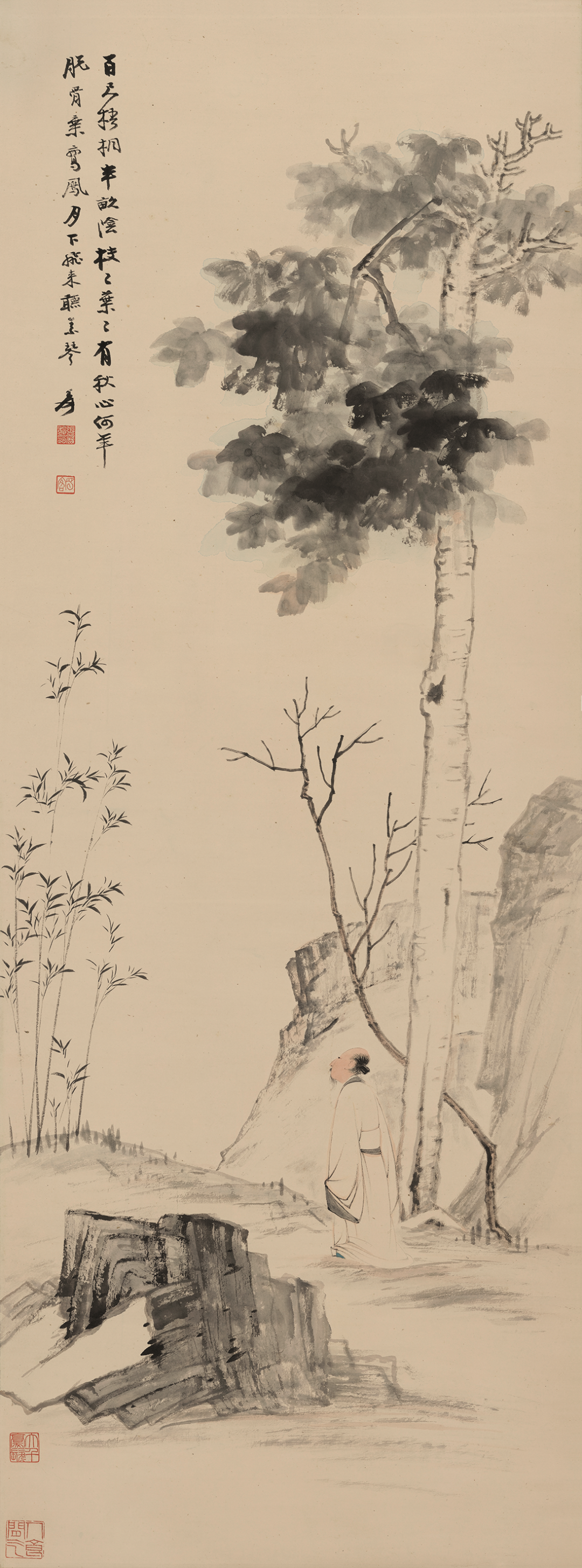 张大千 百尺梧桐半亩荫 纸本设色  纵118.5厘米 横44厘米 南京博物院藏