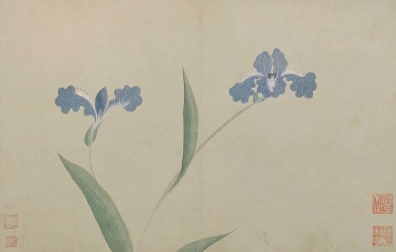  （明）文俶《花卉图册》，故宫博物院藏
